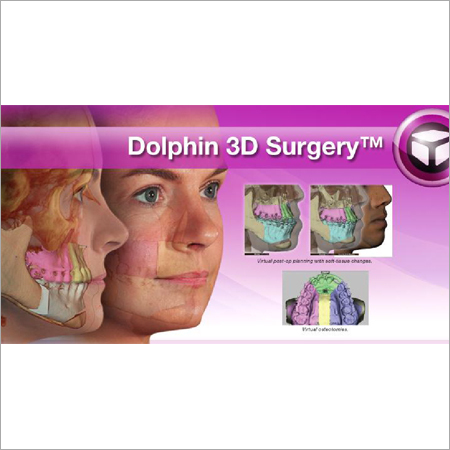Dolphin 3d Surgery