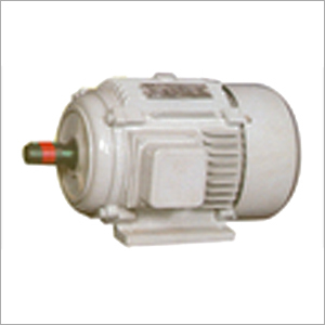 Standard Crane Duty Motor