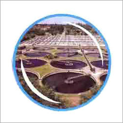 Sewage Water Treatment Plant