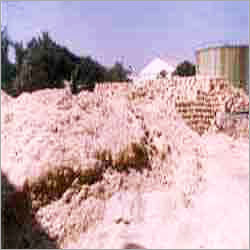 Bagasse Fuel Additives