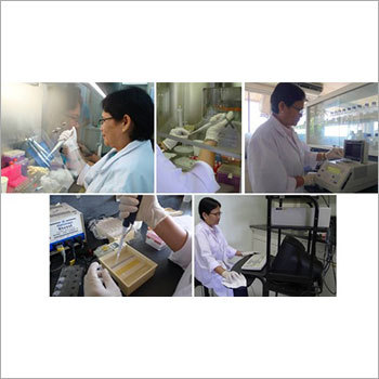 Shrimp Disease Diagnosis Services