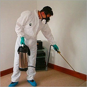 Cockroach Control Chemical Spray