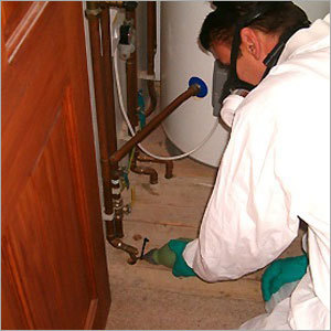 Cockroach Control Herbal Pesticides