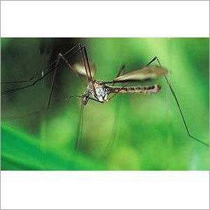 Mosquito Repellent Product