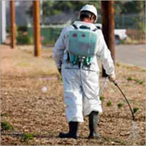 Rodent Control Chemical Spray