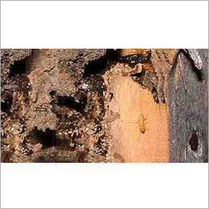 Termite Control Chemical