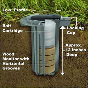 Termite Pest Control