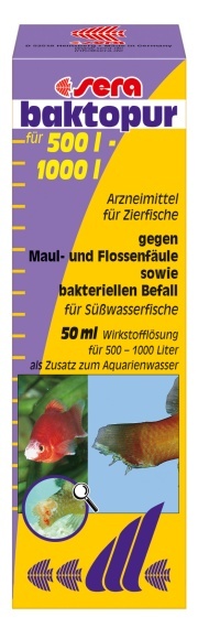 Aquarium Fish Medicine