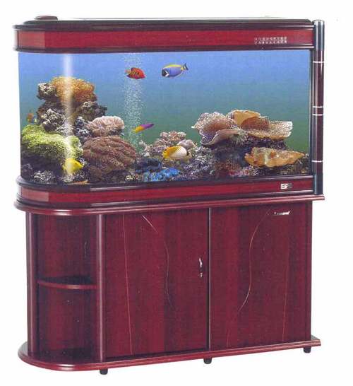 MJ UR-S1200 Aquarium - Glass and Wood, 1250x530x730mm, Rosewood | Curved Front, Large Capacity, Stylish Design