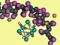 Sodium Bismuth - White Crystalline Solid, 99% Purity | Industrial Grade Inorganic Compound, Cas 7446-08-4