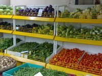 Vegetable Rack