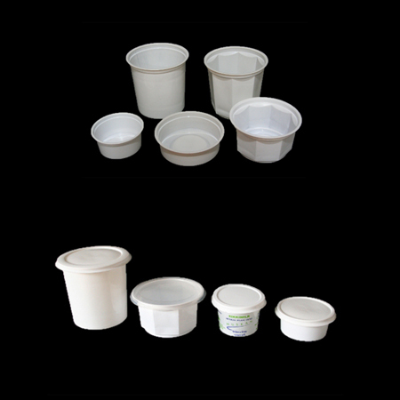 Disposable White Containers