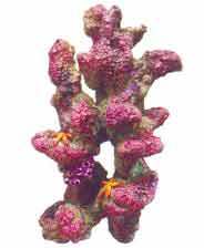 Aquarium Artificial Rocks