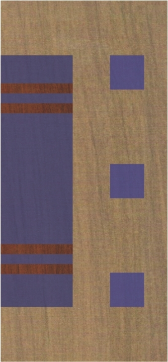 Lamination Door