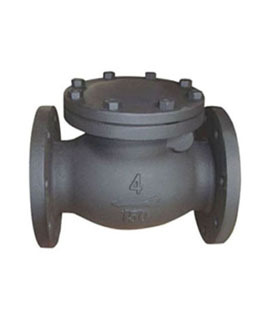 Casting For Swing Check Valve