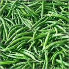 green chilli