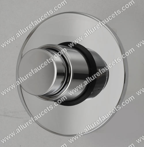 Concealed Flush Valve