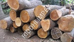 Wooden Logs
