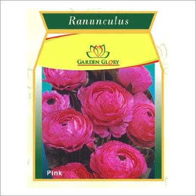Fall Planting Flower Bulbs