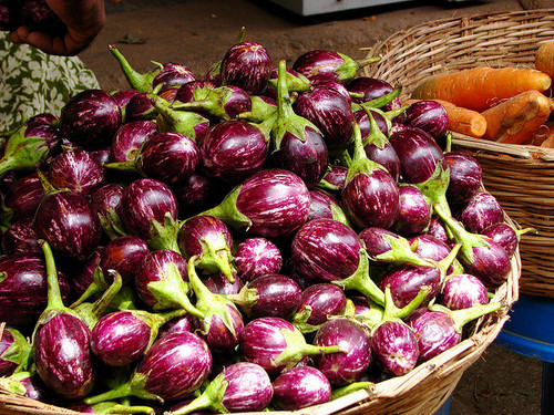 Brinjal