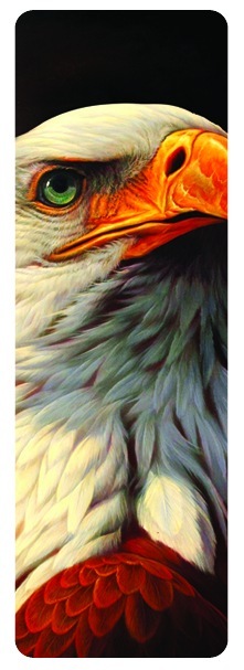 Bookmarks for book