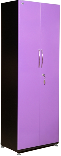Luxury Round Door Almirah