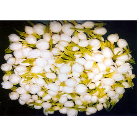 Jasmine Water
