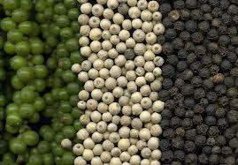 Pepper