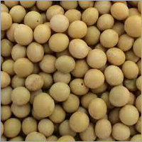 Soya Beans