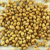 Coriander Seed