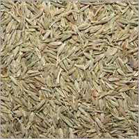 Cumin Seed