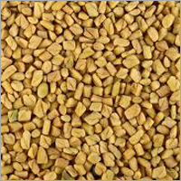 Fenugreek Seed