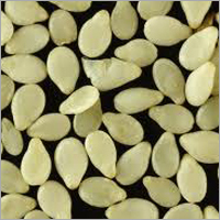 Sesame Seed