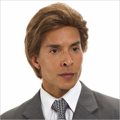 Mens Human Hair Wigs