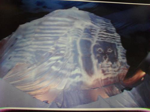 Ganesh Mahotsav Decoration Services