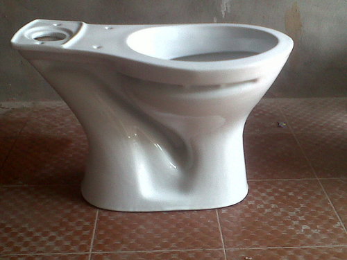 Irani Water Closet