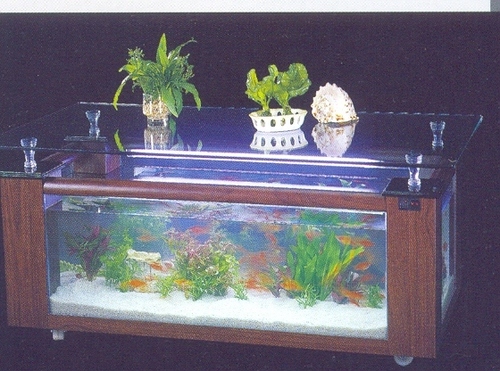 Aquarium