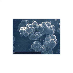 Agglomeration Process