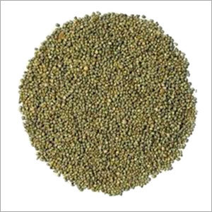 Green Millet Bajra