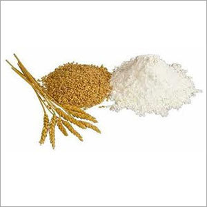 Whole Wheat Flour