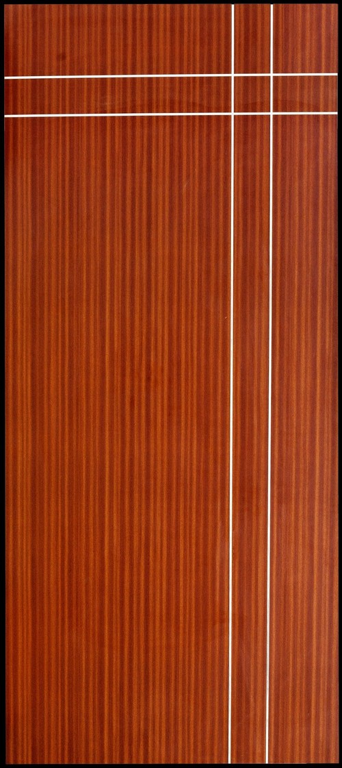 Designer Laminated Doors