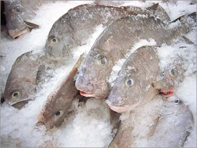 Frozen Seafoods