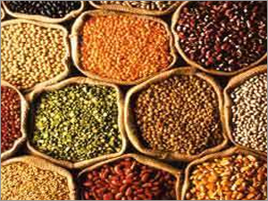 Indian Pulses