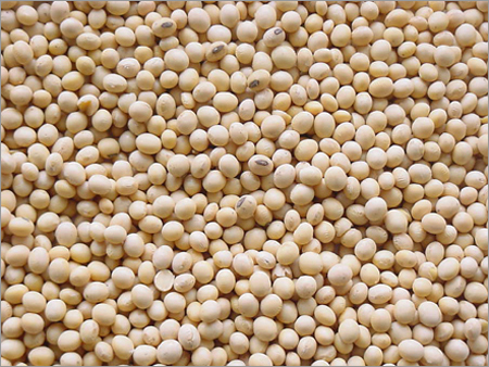 Soyabeen Meal