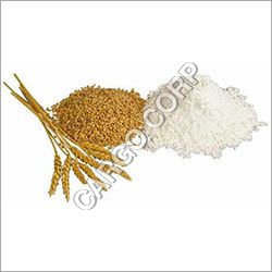 Wheat Flour