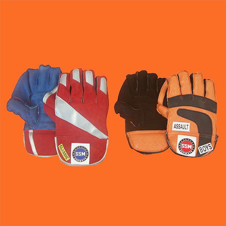 Cricket Wicket Keeping Gloves