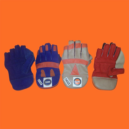 Wicket Keeping Gloves