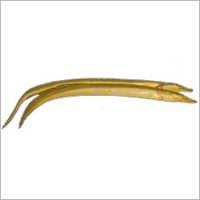 Indian Conger Eel