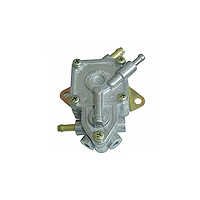 Automobile Oil Pumps