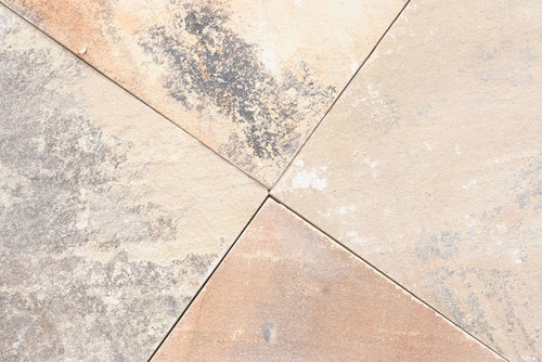 Mint Fossil Sandstone